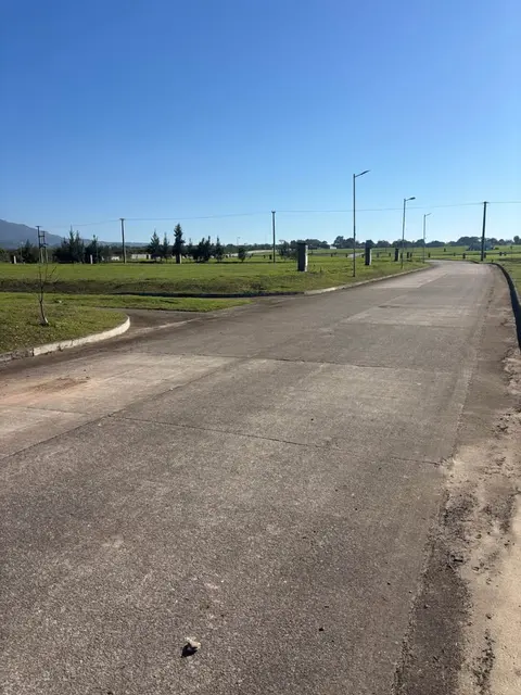 Calle interna pavimentada con alumbrado